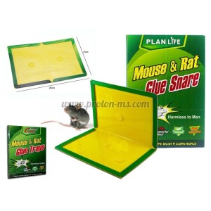 КАПАН С НЕЗАСЪХВАЩО ЛЕПИЛО ЗА МИШКИ И ПЛЪХОВЕ MOUSE & RAT GLUE PASTES