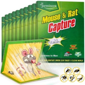 КАПАН С НЕЗАСЪХВАЩО ЛЕПИЛО ЗА МИШКИ И ПЛЪХОВЕ MOUSE & RAT GLUE PASTES